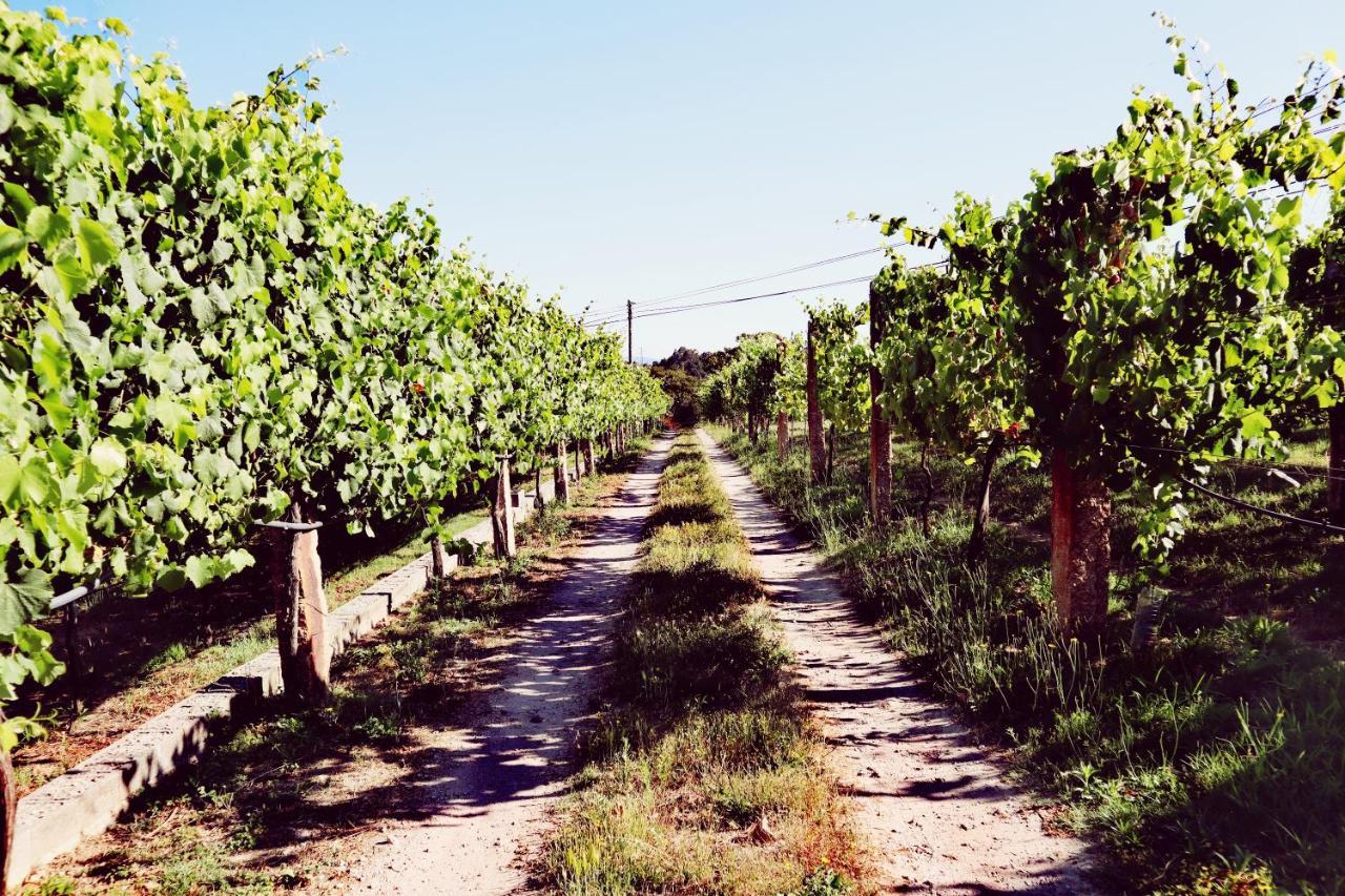 Quinta De Real Villa Valenca Buitenkant foto