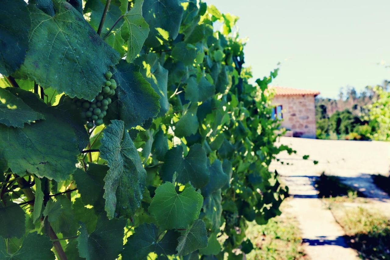 Quinta De Real Villa Valenca Buitenkant foto